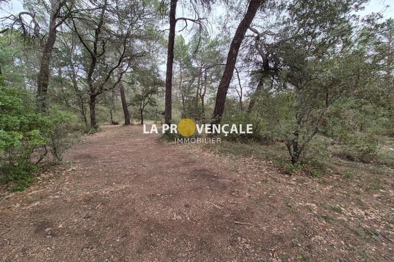 Terrain de loisirs - 2 315 m²