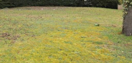 Terrain constructible - 401 m²