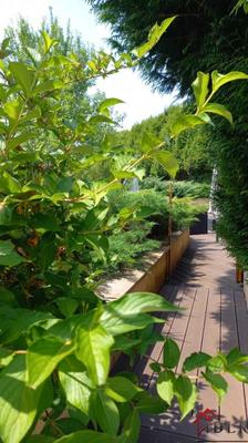 Maison de village - 242 m² - 7 pièces