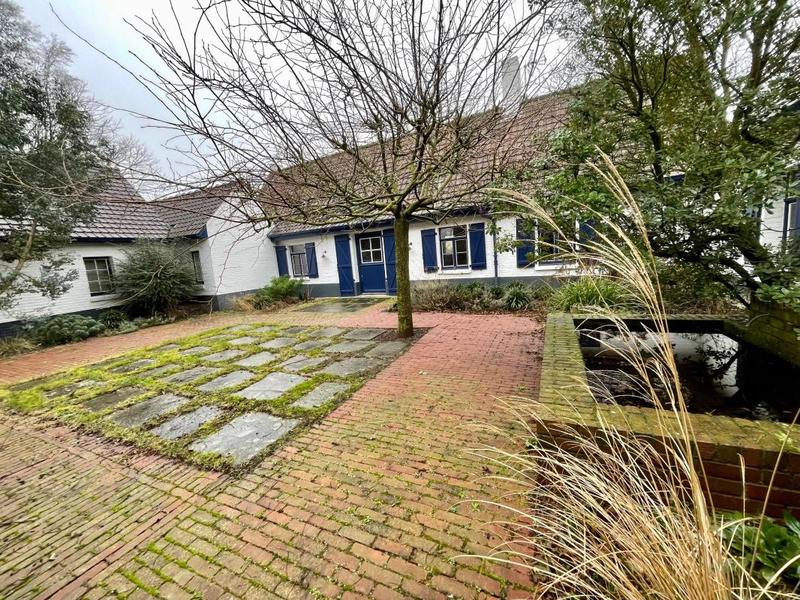 Ferme - 262 m² - 8 pièces