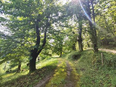 Maison - 115 m² - 4 pièces