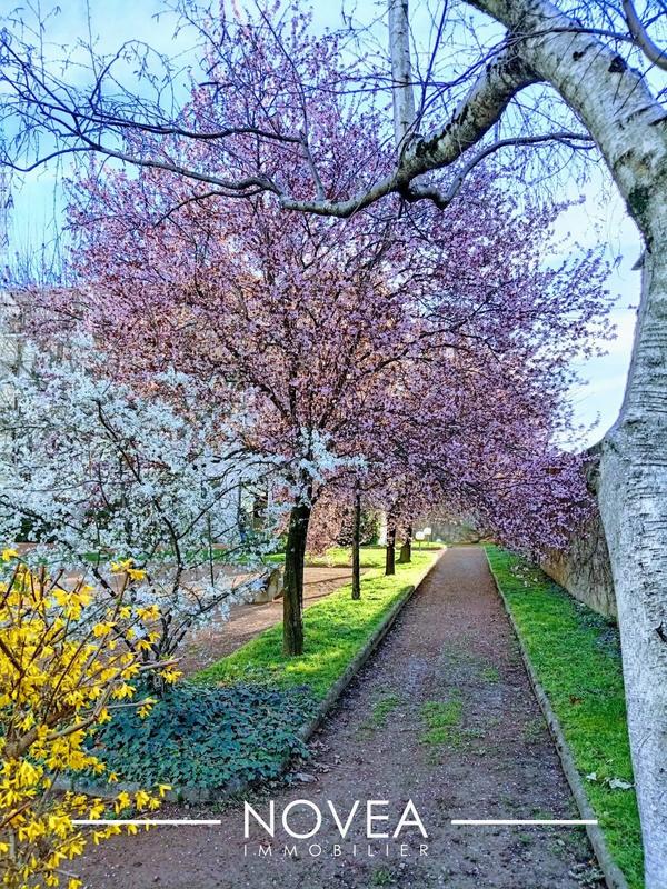 Appartement - 72 m² - 4 pièces