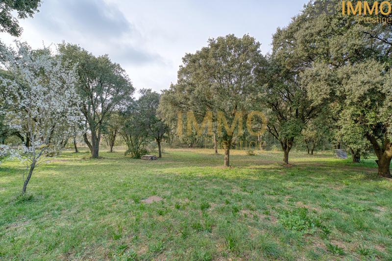 Mas - 280 m² - 9 pièces