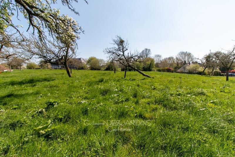 Terrain constructible - 4 000 m²