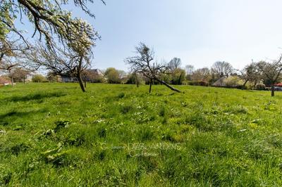 Terrain constructible - 4 000 m²