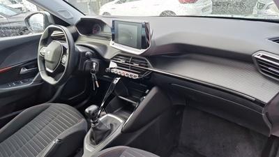 Peugeot 2008 Business bluehdi 110 ss bvm6 active