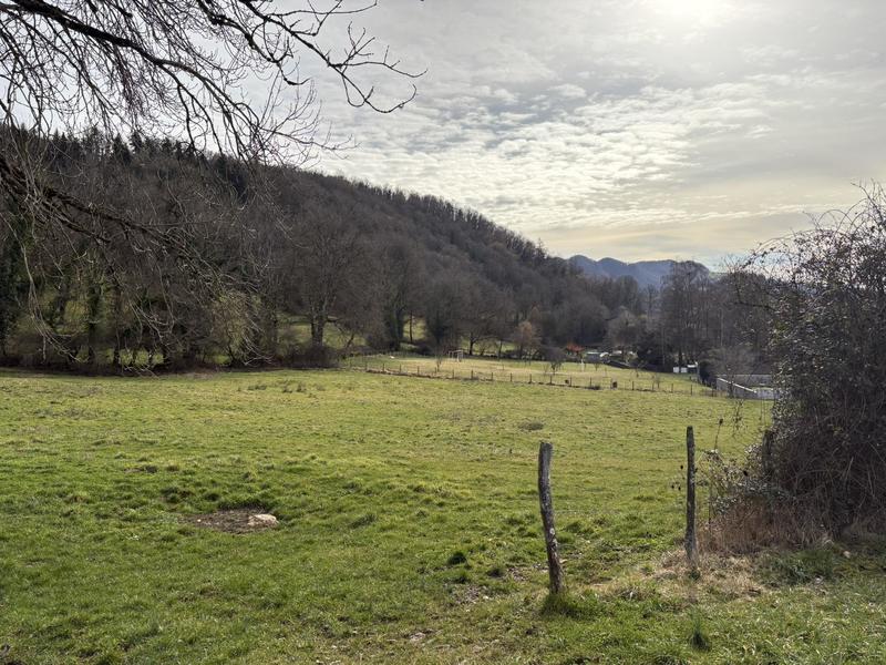 Terrain constructible - 6 233 m²