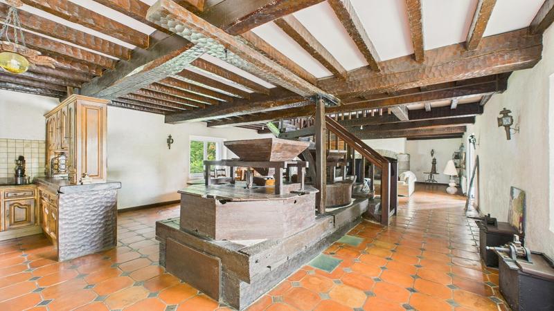 Moulin - 300 m² - 6 pièces
