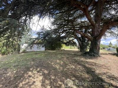 Terrain constructible - 1 848 m²