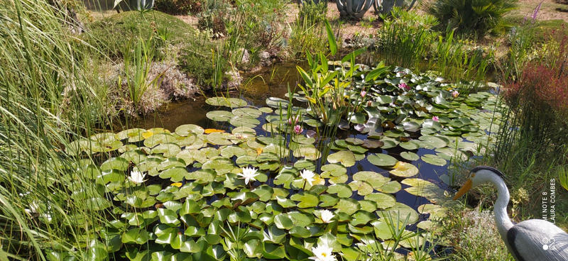 Villa - 220 m² - 8 pièces