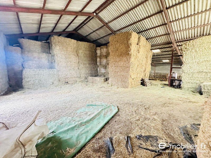 Maison - 117 m² - 4 pièces