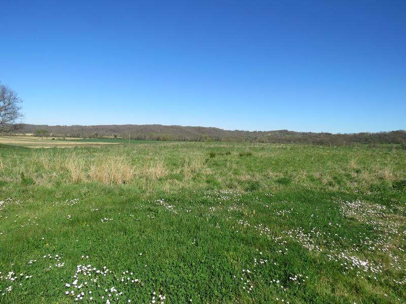 Maison ancienne - 160 m² - 5 pièces