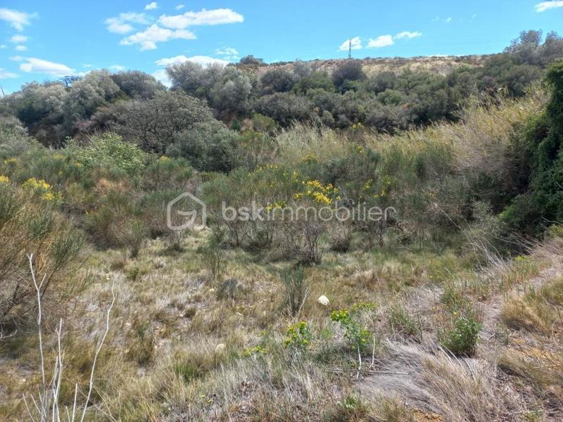 Terrain de loisirs - 4 440 m²