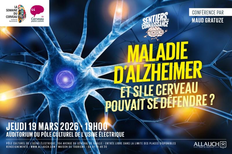 "Maladie d'Alzheimer : et si le cerveau pouvait se défendre?"
