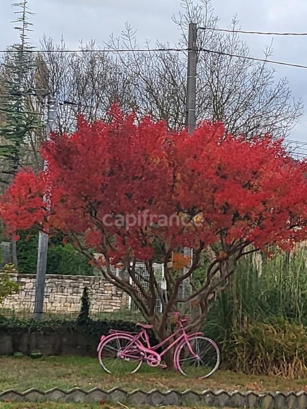 Maison - 176 m² - 8 pièces