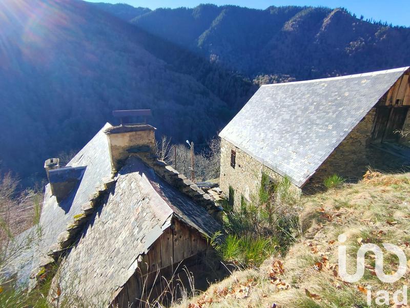 Maison de campagne - 100 m² - 3 pièces