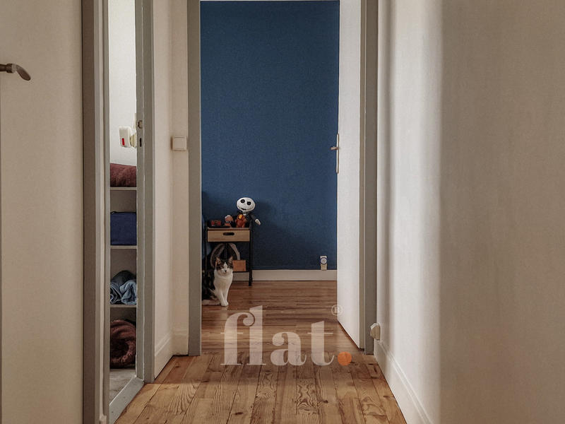 Appartement - 55 m² - 3 pièces