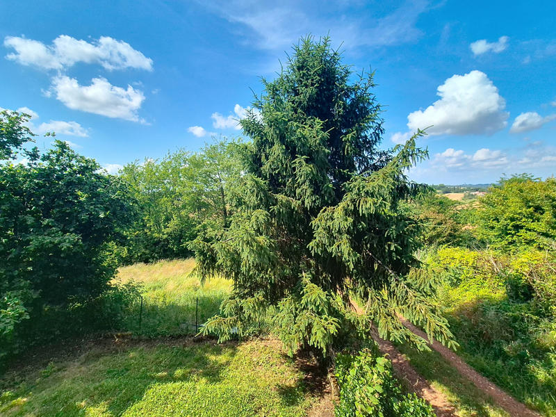 Viager - Maison - 130 m² - 7 pièces