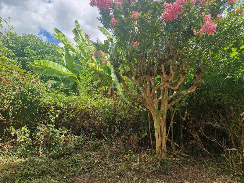 Maison - 140 m² - 4 pièces