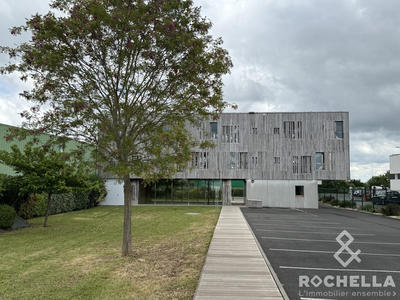 Local d'activités - 369 m²