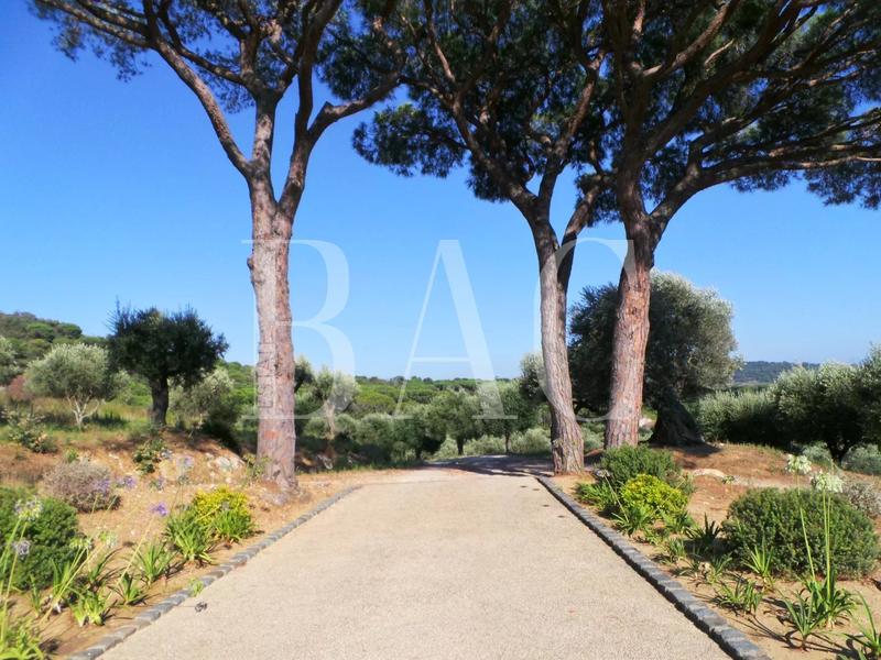 Propriété - 900 m² - 18 pièces