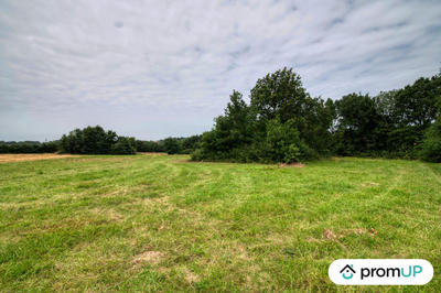 Terrain de loisirs - 7 103 m²