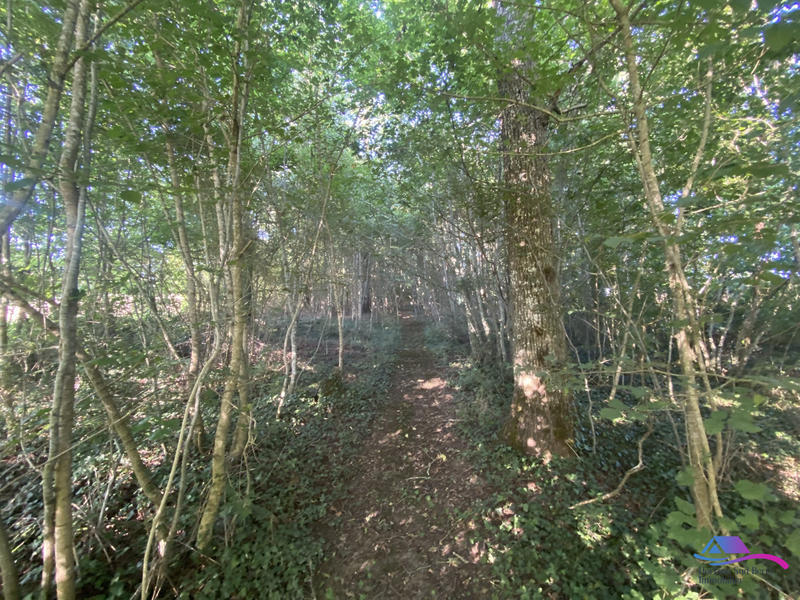 Maison - 116 m² - 4 pièces