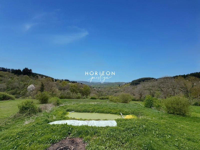 Maison ancienne - 540 m² - 13 pièces