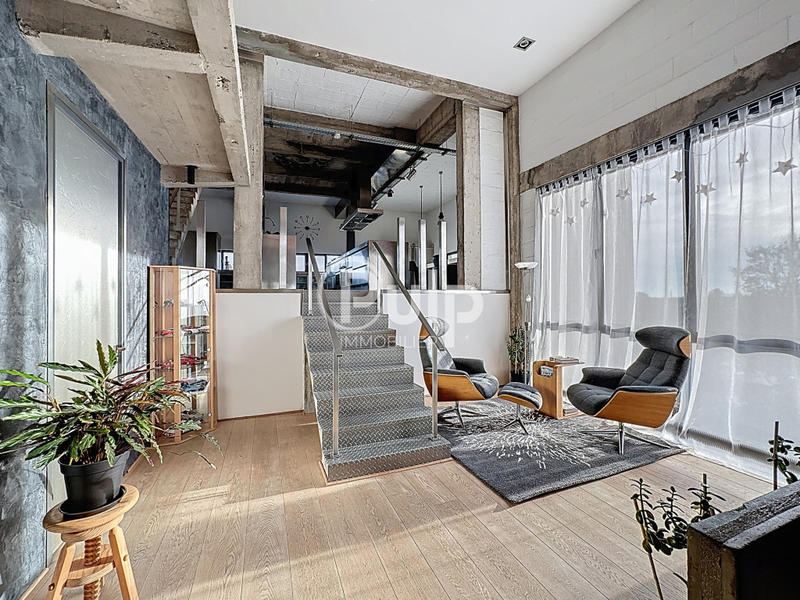 Loft - 289 m² - 6 pièces