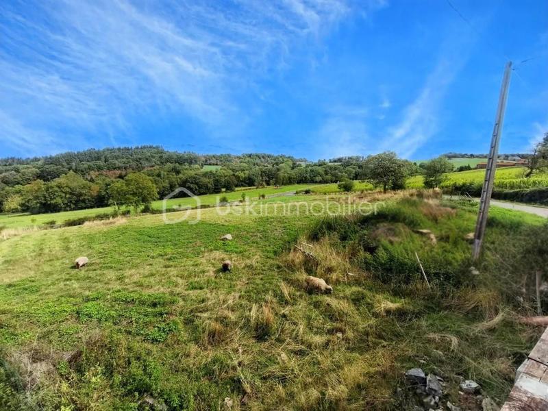 Maison en pierre - 244 m² - 10 pièces