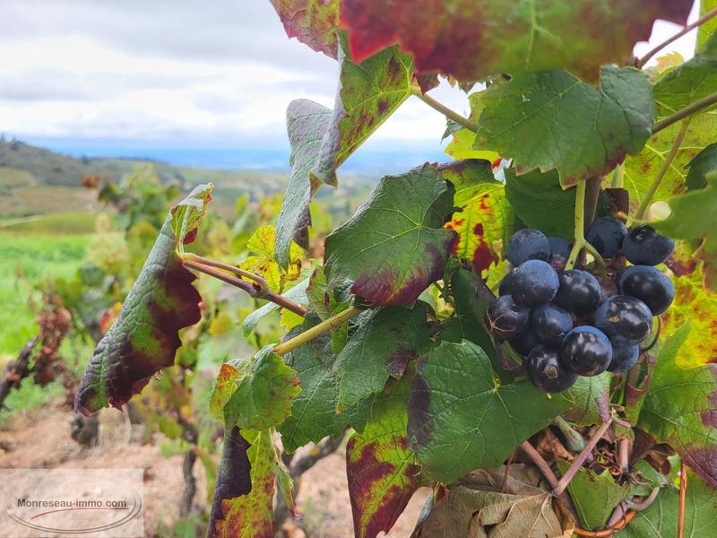 Terrain agricole - 27 297 m²