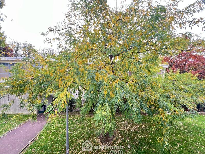 Appartement - 73 m² - 4 pièces