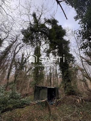 Terrain - 58 000 m²