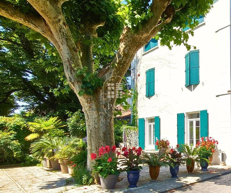 Hôtel particulier - 423 m² - 8 pièces