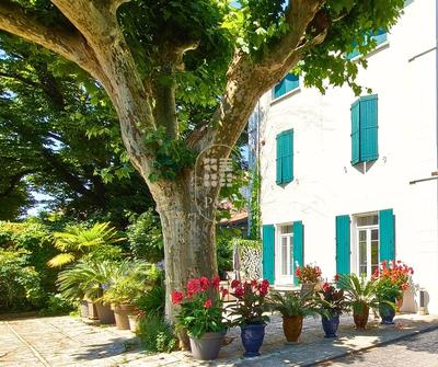 Hôtel particulier - 423 m² - 8 pièces