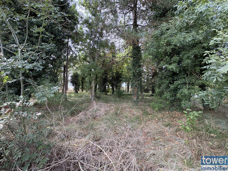 Terrain de loisirs - 1 476 m²