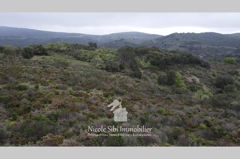 Terrain - 25 575 m²