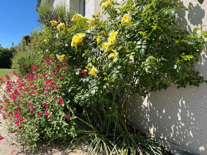 Maison - 240 m² - 8 pièces