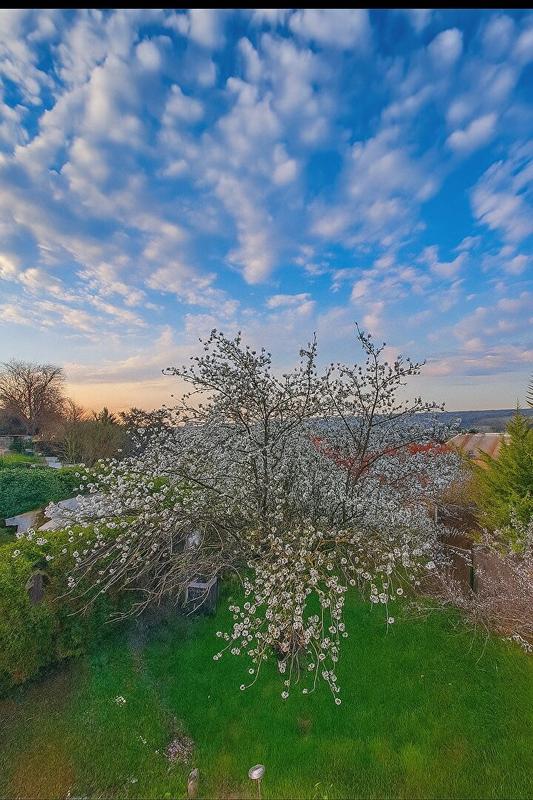 Maison - 500 m² - 5 pièces