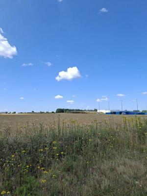 Terrain - 14 503 m²