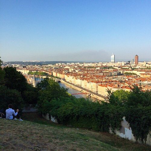 Jardin des Curiosités