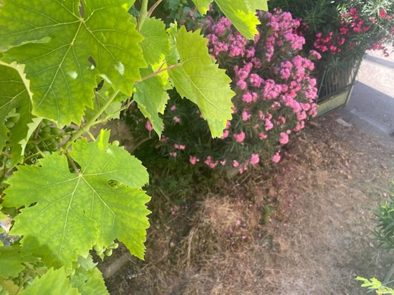 Maison - 178 m² - 8 pièces