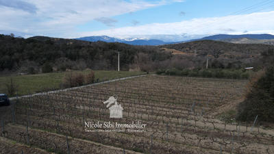 Terrain agricole - 2 116 m²