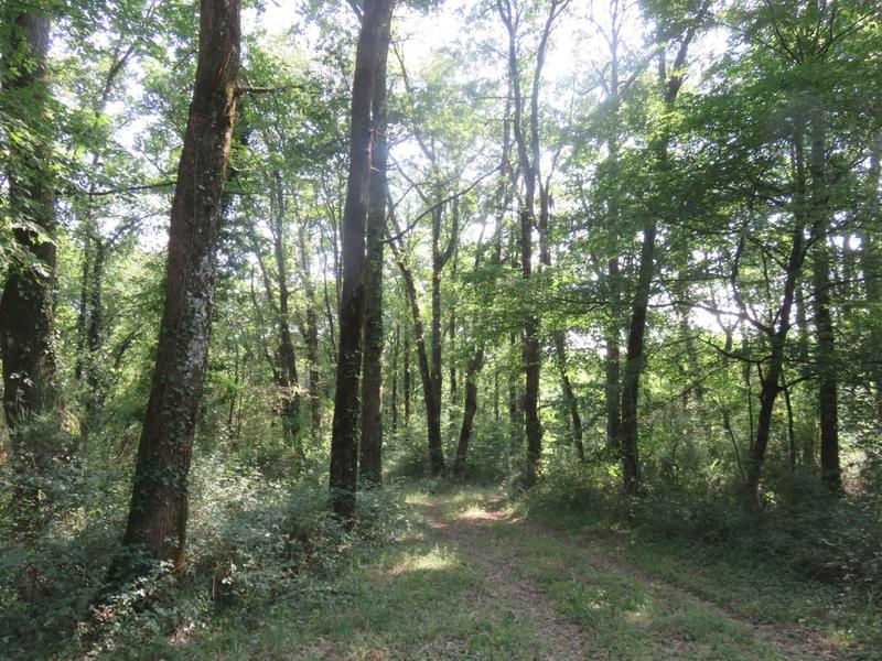 Maison - 246 m² - 6 pièces