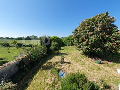 Maison en pierre - 213 m² - 8 pièces