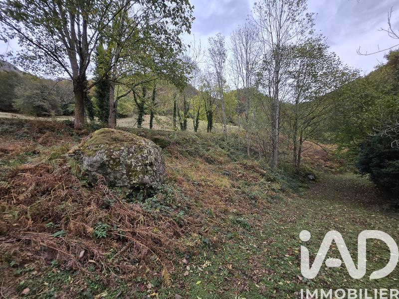 Terrain agricole - 3 915 m²