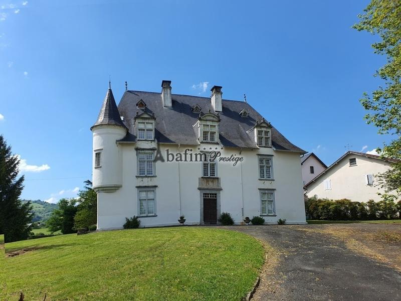 Château - 600 m² - 16 pièces