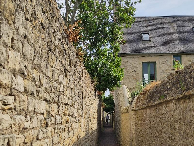 La richesse végétale et minérale des venelles