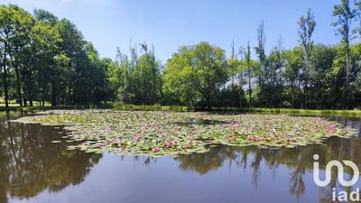 Maison - 194 m² - 8 pièces