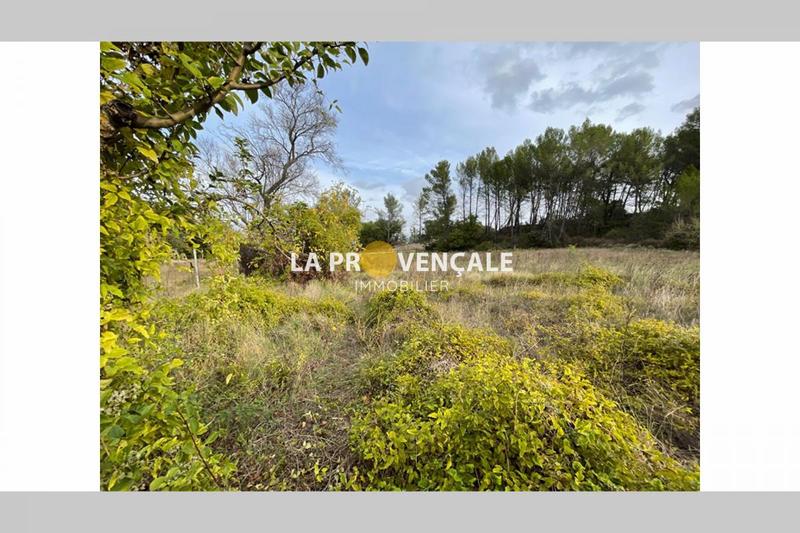 Terrain - 470 m²